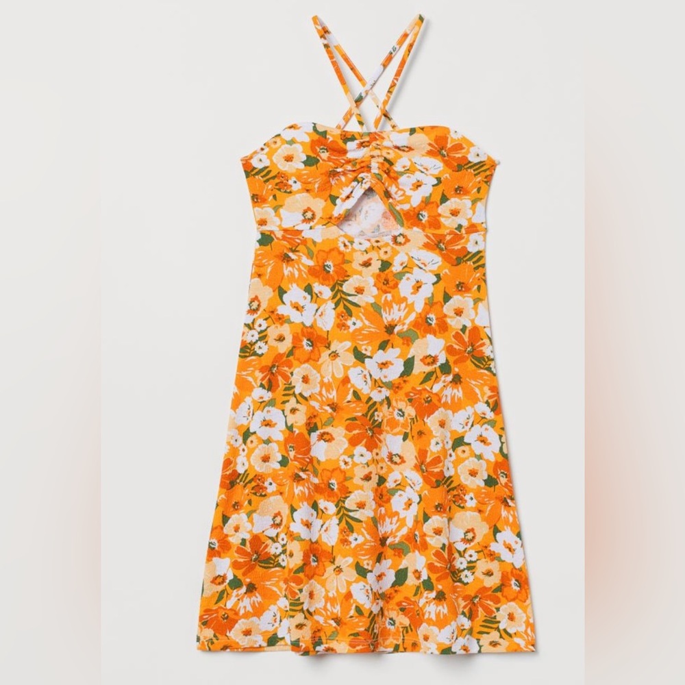 H&M Floral Print Dress